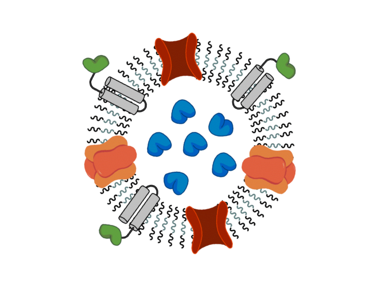 Tag des CBI 20.06.2018
