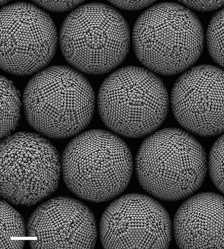 Mit Mathematik und Verfahrenstechnik zu neuartigen Nanopartikeln