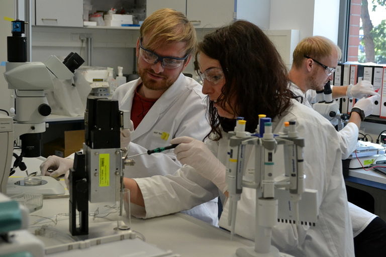 Viren, Impfstoffe und Zellen im Studiengang Life Science Engineering