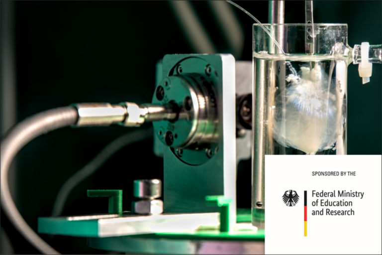 Förderung automatisierter Gewebe-Rekonstruktion durch das BMBF