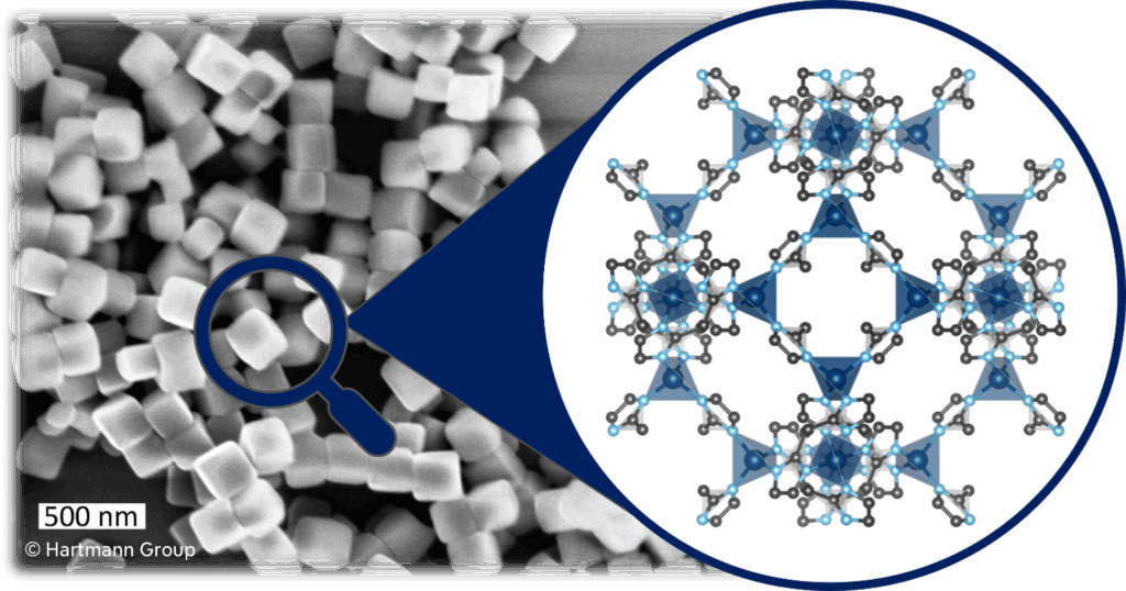 REM-Aufnahme und Kristallstruktur von ZIF-8 Nano-Würfeln